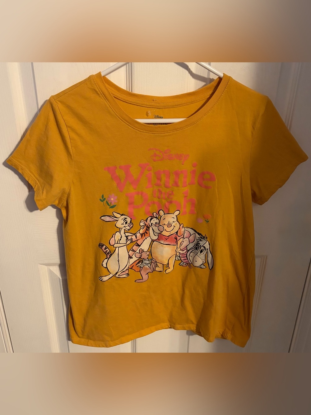 Disney Winnie the Pooh & Friends T-shirt, Women’s Size Medium
